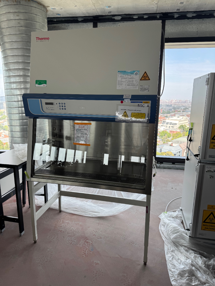 Image of Thermo Safe 2020 4' BioSafety Cabinet